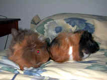 ruffles and ridges.jpg (102761 bytes)